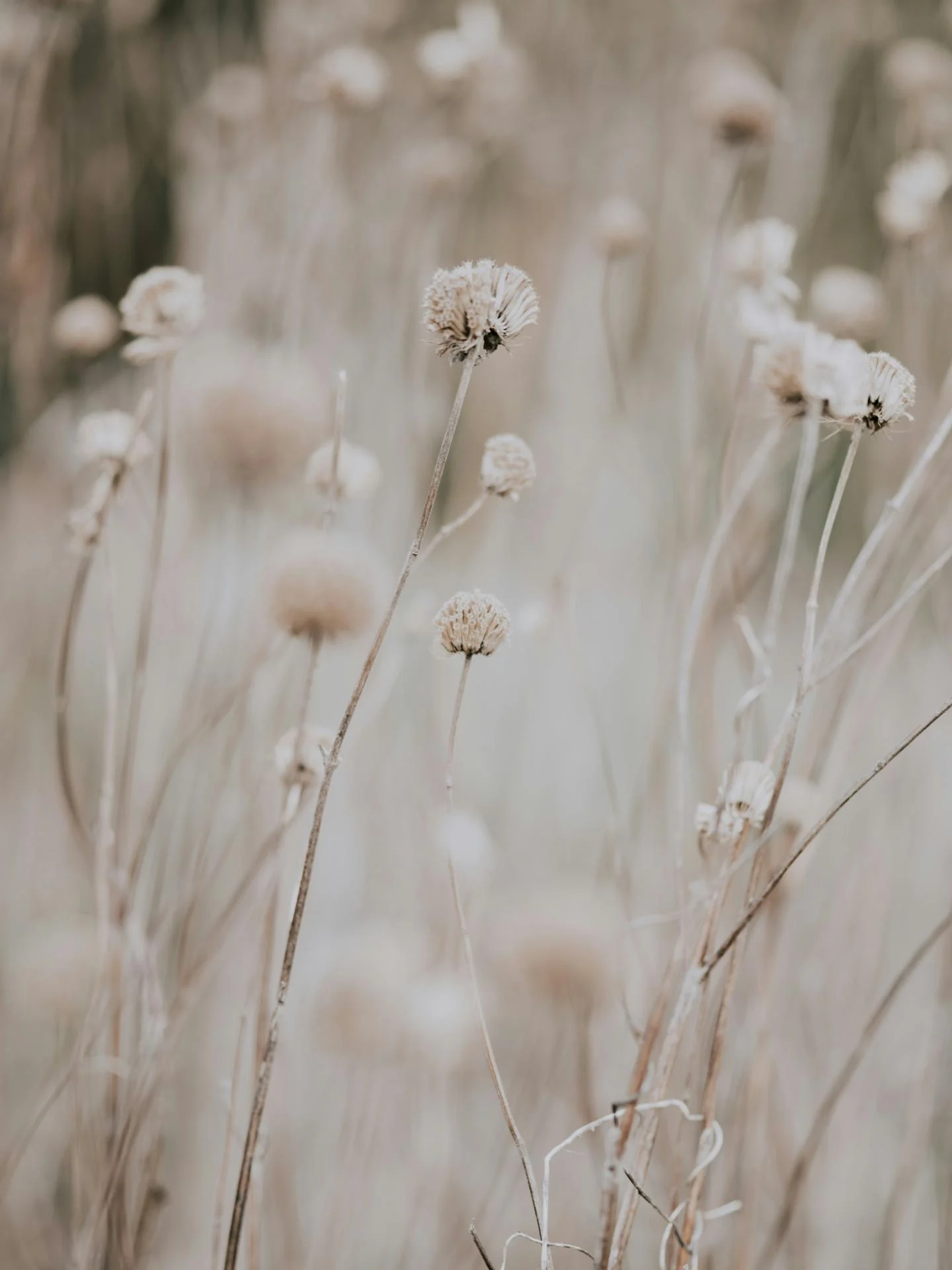 Annie spratt 9pxrufrih2a unsplash