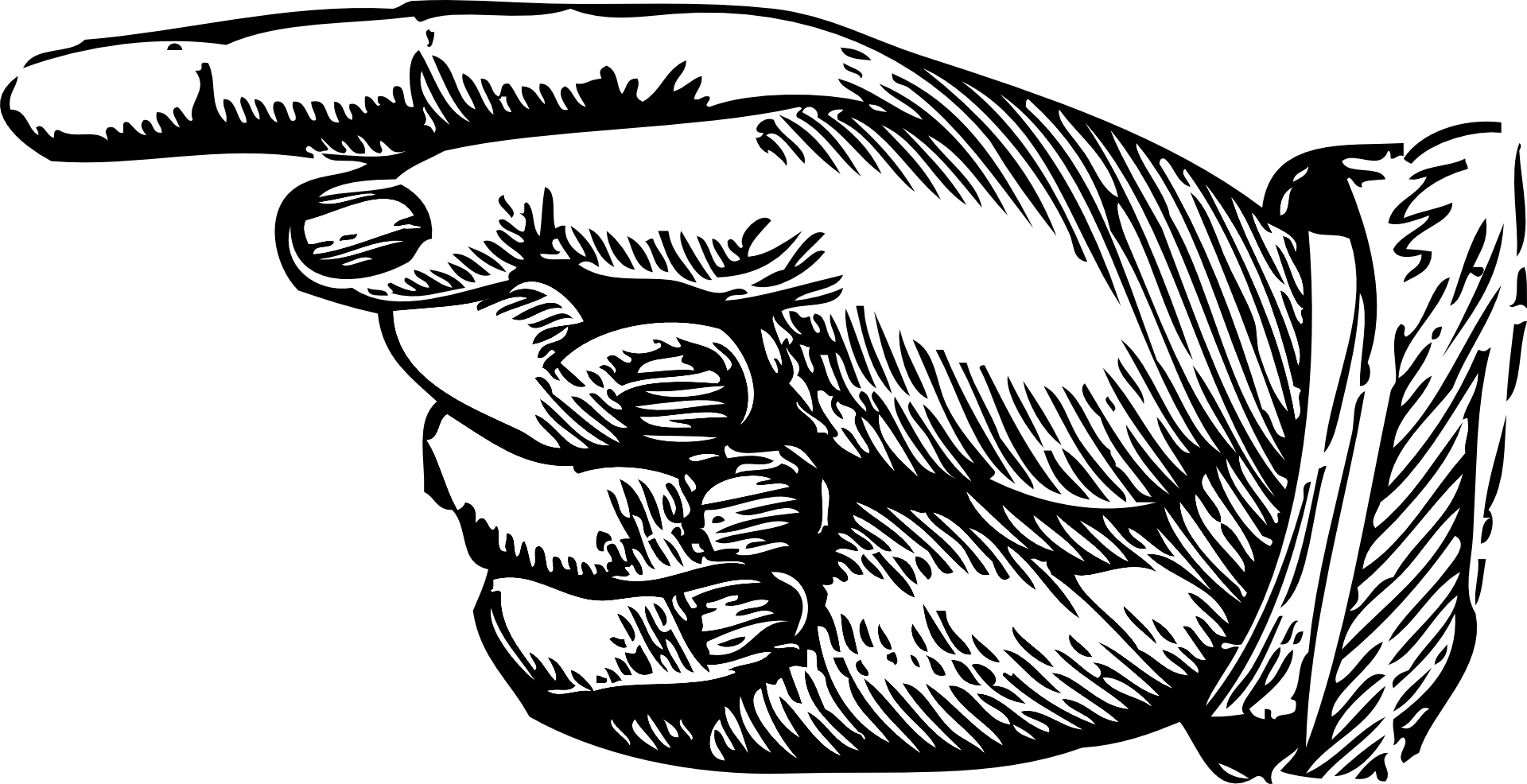 Hand 308597 1920